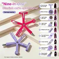 9 IN 1 Cat's Eye Magnet Set